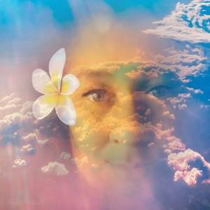 Meet your Posher, Burnise